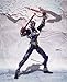S.I.C. SIC Ultimate Soul Vol.1 Masked Rider Hibiki by bandai