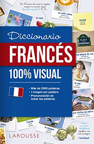 Diccionario De Frances 100 Visual Larousse Diccionarios Visuales Libro Epub Larousse Editorial Terdiavenpest