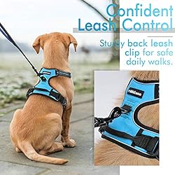 rabbitgoo Dog Harness, No-Pull Pet Harness with 2