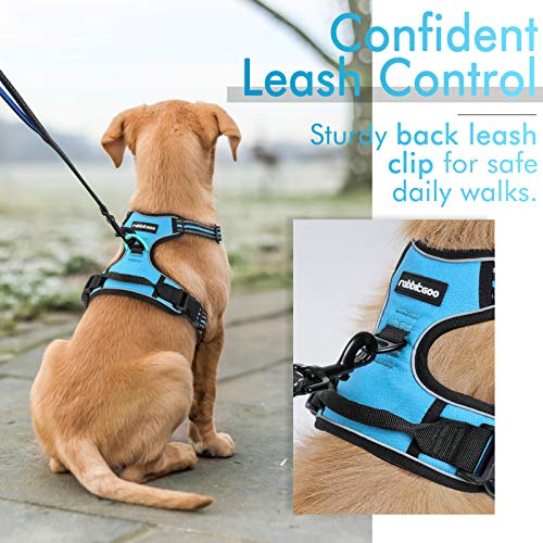 rabbitgoo dog harness fitting