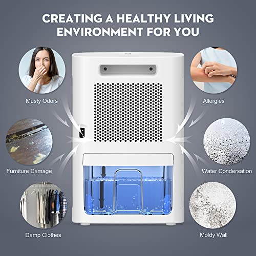 Dehumidifiers for Bathroom, 62 OZ Dehumidifier with Auto Shut Off, Sleep Mode (950 sq. ft) Portable White Dehumidifier for Bedroom, Basement, Home, RV
