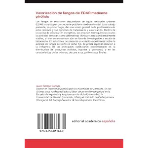 Valorización de fangos de EDAR mediante pirólisis: Estudio experimental en un reactor de lecho fijo de laboratorio (Spanish Edition)