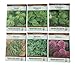 Cedar Planter Box - Complete Herb Garden Indoor Kit - Herb Growing Kit - Grow Cooking Herbs Basil, Chives, Thyme, Oregano, Parsley & Cilantro