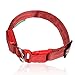 ILLUMISEEN LED Dog Collar USB Rechargeable - Bright & High Visibility Lighted Glow Collar for Pet Night Walking - Weatherproof, in 6 Colors & 6 Sizes (Red Large)