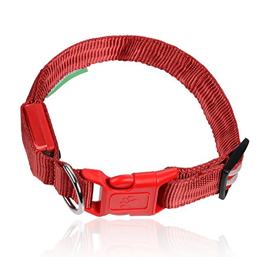 LED Dog Collar - USB Rechargeable - Available in 6 Colors & 6 Sizes - Makes Your Dog Visible, Safe & Seen - Red, Large (19 - 24" / 49 - 61cm)