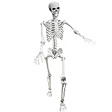 Lodou 5.4Ft Posable Life Size Human Adult Skeletons