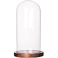 Moonlear Glass Display Dome Cloche Tabletop Display Case (Cofee Wood Base, Dia3.5 x H7.4)