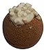 Diva Stuff Relaxing Bath Bomb, Hot Cocoa with Marshmallows, 1 Piece