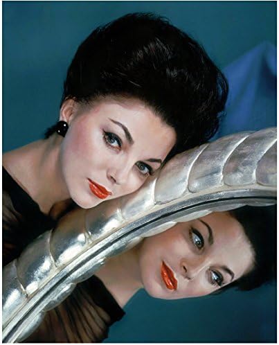 Joan Collins 8 Inch By 10 Inch Photograph Dynasty Tales From The