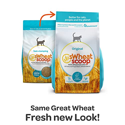 sWheat Scoop Natural Wheat Cat Litter, Original, Fast Clumping with