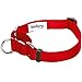 Blueberry Pet Essentials Martingale Safety Training Dog Collar, Rouge Red, Large, Heavy Duty Nylon Adjustable Collars for Dogs