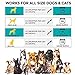 Organic Hemp Oil for Dogs and Cats - 2000MG - Premium Hemp Extract - Anxiety Relief for Dogs - Grown & Made in USA - Omega 3, 6 & 9 - Supports Hip & Joint Health - Natural Relief for Pain
