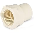 (100 Pack) EFIELD CPVC CTS Female Adapter Fittings, 1" Slip X 1" Female Thread