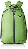 Wildcraft 28 Ltrs Green Dual Tone Casual Backpack (AM BP 2)
