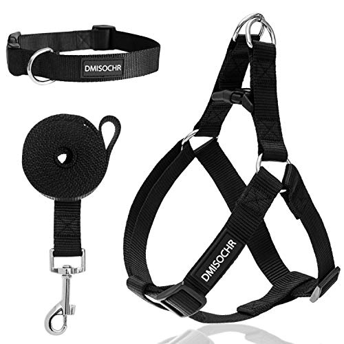 DMISOCHR Dog Harness and Leash Set with Collar Step in No Pull Dog