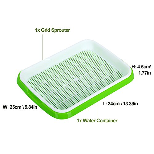 2 Sets Sprouter Tray BPA Free PP Soil-Free Densely Small Hole Healthy Wheatgrass Grower 13.4x9.84x1.77inch - Thumbnail 3