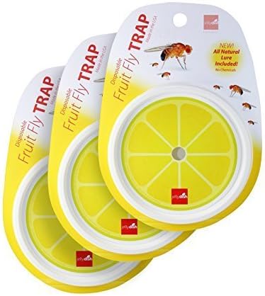 JellyDish Disposable Fruit Fly Traps, Controls Fruit Flies Up to 30 Days All Natural Lure Included, Lemon, 3 Piece
