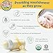 Earth's Best Organic Dairy Infant Powder Formula with Iron, Omega-3 DHA and Omega-6 ARA, 23.2 oz. (Pack of 4)