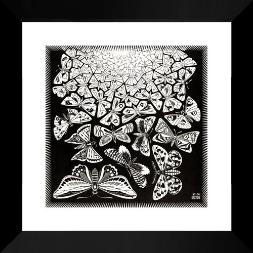 Butterflies 20x20 Framed Art Print by M.C. Escher