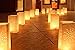 Cospring Luminary Bag Candle Bag Light Holder for Home Outdoor Christmas Wedding Reception Holiday Party and Event Occasion Decoration - Flame Resistant Paper - (20 Count)03