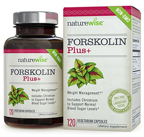 UPC 700613019214, NatureWise Forskolin Plus+ for Weight Loss with Chromium for Healthy Blood Sugar Support, Coleus Forskohlii Supplement, 250 mg, 120 count