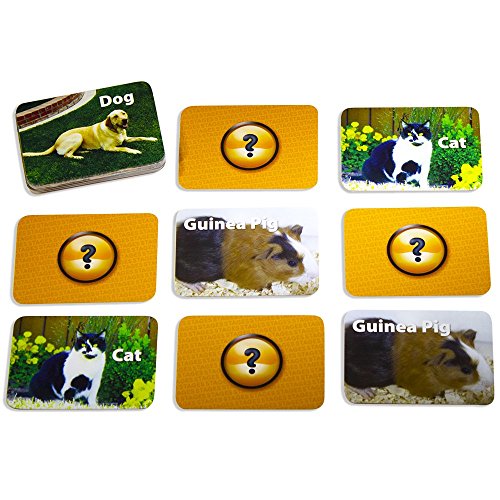Stages Learning Materials Picture Memory Pets Card Game Real Photo