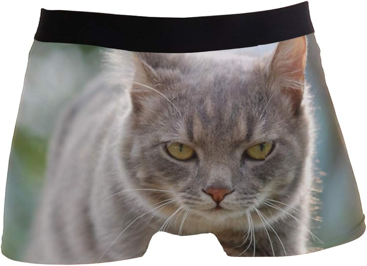 Bóxer Divertido Para Hombre Con Estampado De Gatos Pack De