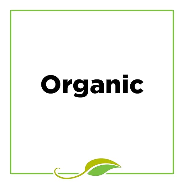 MCCORMICK GOURMET ORGANIC CHILI POWDER, 1.75 OZ