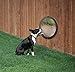 Kenley Pet Dog Fence Peek Window - Prevents Fence Jumping, Reduces Barking & Digging - Durable Acrylic Dome Window for Pets, Cats, Dogs - Space Dog Sticker Included