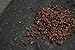 Raw Cacao Nibs Criolo Porcelena Nibs (The Finest Variety from Peru),22LBS