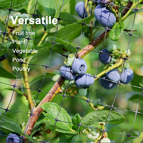 PatioGem Bird Netting, 7 x 65FT PP Made Durable Garden Netting, Weather