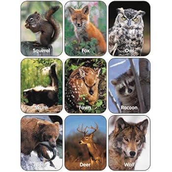 Eureka Wildlife Animals Stickers, 36 Stickers