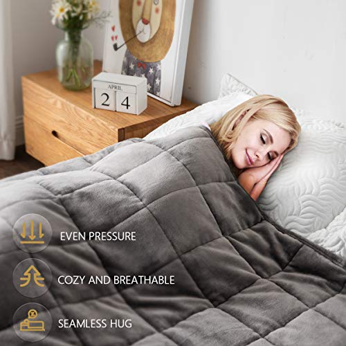 Mr.Sandman Sherpa Weighted Blanket for Adults 15lbs Twin/Full Size Bed, Fuzzy Soft Fleece Throw Blanket with Premium Ceramic Beads - 48\