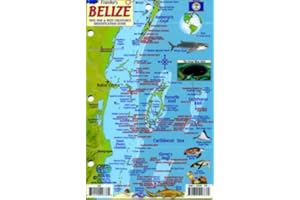 FRANKO MAPS FrankosMaps Belize Mini-map & Reef Creatures Identification Guide - Fish ID