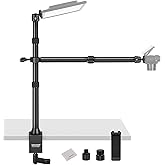 NEEWER Desk Stand with 2 Telescopic Boom Arms Phone Holder for Mic Camera Webcam Ring Light, Desktop Overhead Microphone Moun