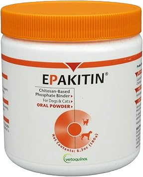 ceramic dog treat jar