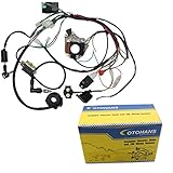 OTOHANS AUTOMOTIVE Complete Electric Stator Engine Wiring Harness Loom with Full Copper Wire for 50cc 70cc 90cc 110cc 125cc Pit Quad Dirt Bike taotao ATV Dune Buggy Go Karts 4 wheelers