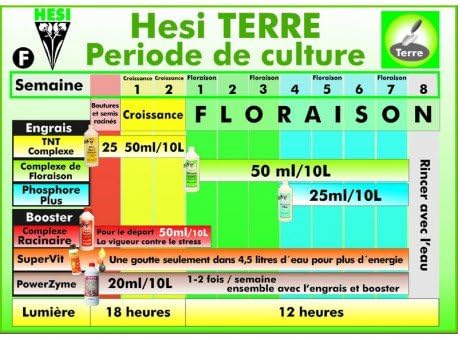 SCHEMA DE CULTURE HESI TERRE: Amazon.fr: Jardin