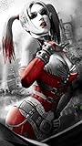 NewBrightBase Harley Quinn Batman Arkham City Fabric Cloth Rolled Wall Poster Print 24x13