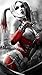 Harley Quinn Batman Arkham City Fabric Cloth Rolled Wall Poster Print -- Size: (43