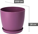 B2C Flower Pots 30 cm Violet Matt with Saucer Plant Planter 8 Sizes view 6