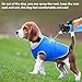 LotFancy Dog Cooling Vest Jacket Coats Swamp Cooler for Puppies Cats Kittens Pets (Blue, Small 7.8”-9”)