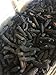 Erlin 1lb Sun Dried Black Spiky Sea Cucumber From North America Medium Size