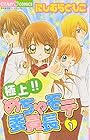極上!!めちゃモテ委員長 全17巻 （にしむらともこ）