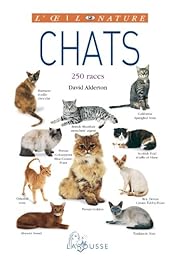 Chats