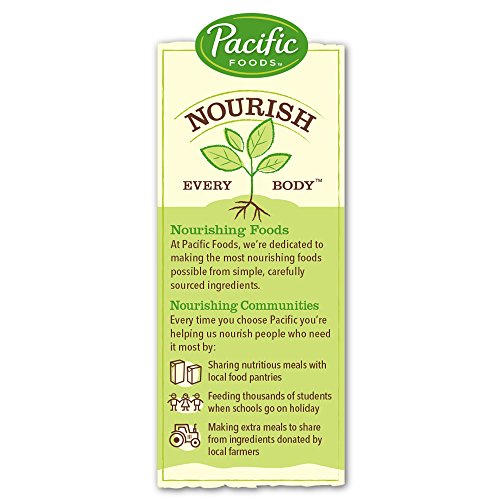 PACIFIC FOODS ORGANIC BONE BROTH CHICKEN NOODLE SOUP, 17 OUNCE