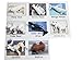 Montessori Arctic Polar Animal Match - Miniature Arctic Animal Toy Figurines with Matching Cards - 2 Part Cards. Montessori learning toy, language materials Busy Bag Activity