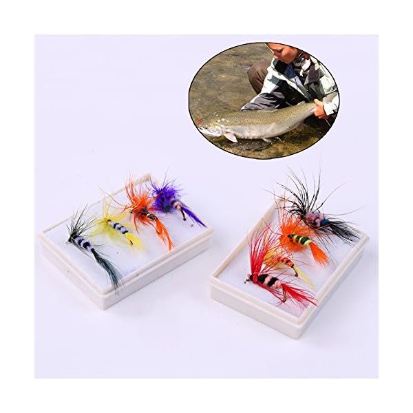 Sougayilang-Colorful-Assortment-Dry-Fly-Fishing-Flies