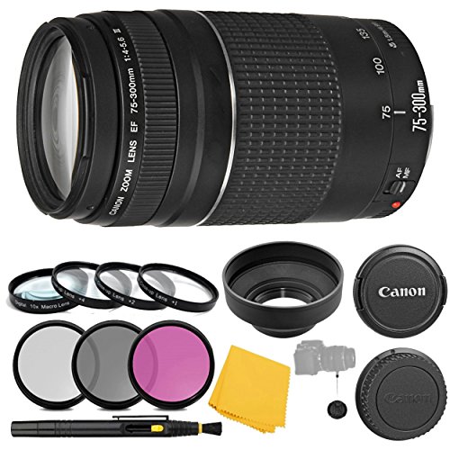 Canon EF 75-300mm F/4-5.6 III Lens + 3 Piece Filter Set + 4 Piece Close Up Macro Filters + Lens Cleaning Pen + Pro Accessory Bundle - 75-300mm III: International Version (No Warranty)