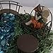 Fairy Garden Kit - Includes Fairy, Bench, Table, Bridge, Blue Glass Stones, Moss and Instructions